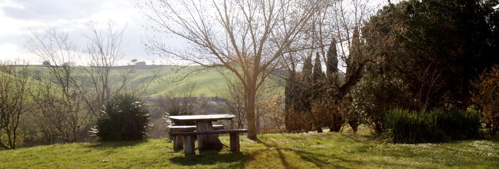 Agriturismo Castello Saltemnano Buonconvento Esterno foto