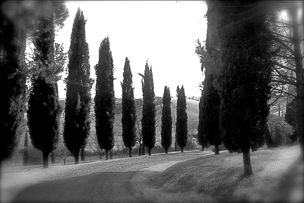 Agriturismo Castello Saltemnano Buonconvento Esterno foto