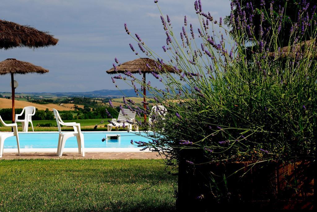 Agriturismo Castello Saltemnano Buonconvento Esterno foto