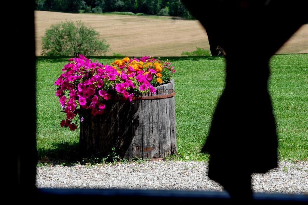 Agriturismo Castello Saltemnano Buonconvento Camera foto