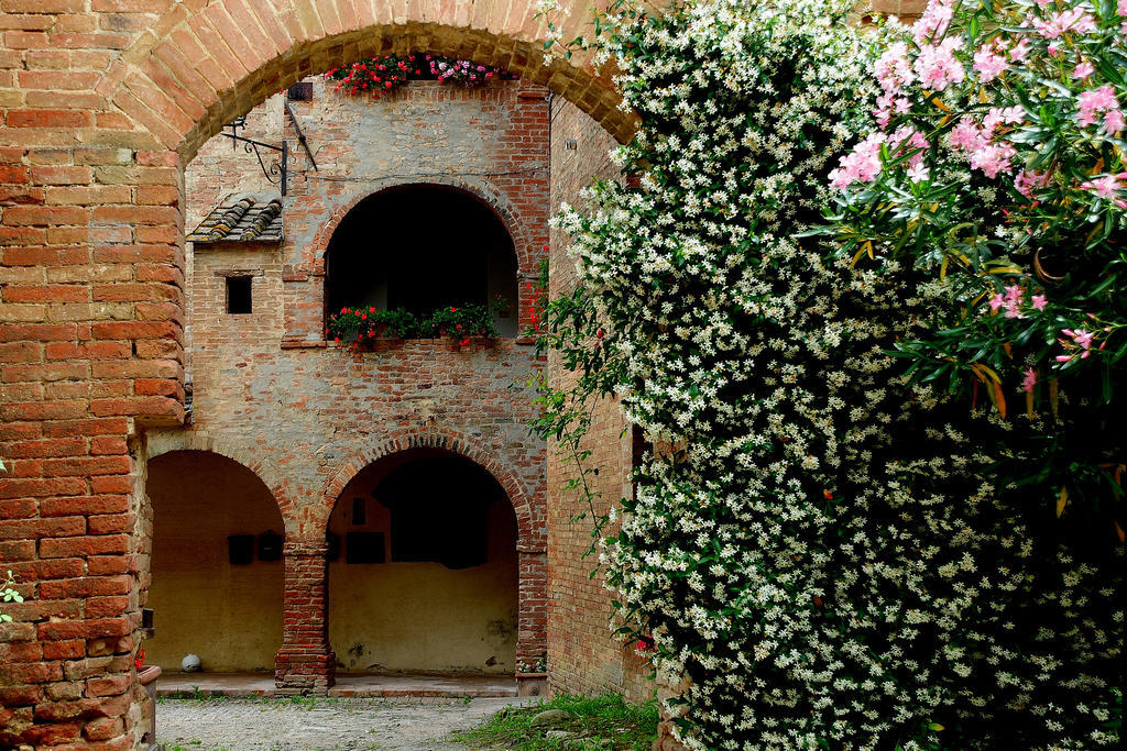 Agriturismo Castello Saltemnano Buonconvento Esterno foto