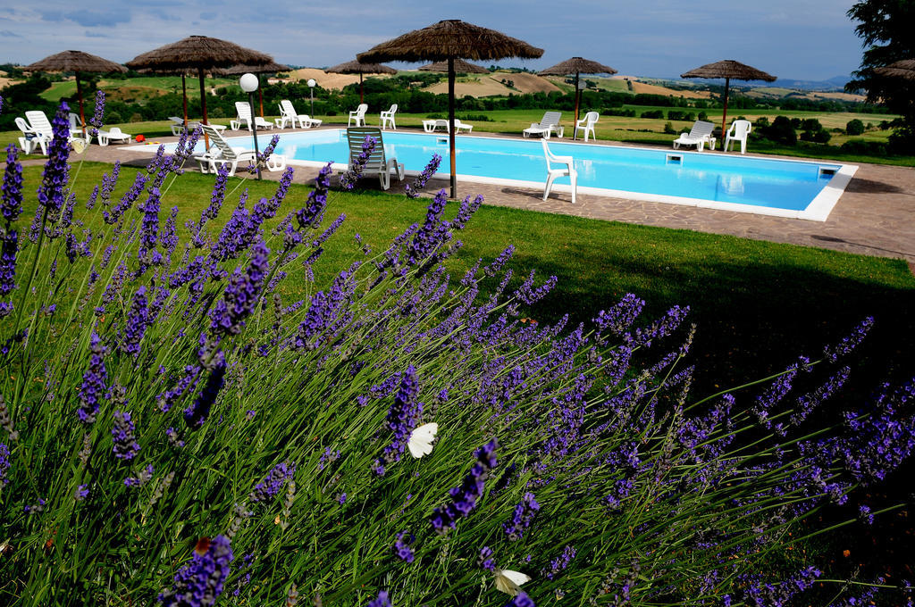 Agriturismo Castello Saltemnano Buonconvento Esterno foto