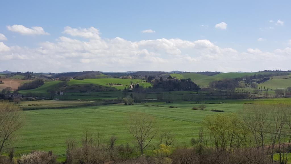 Agriturismo Castello Saltemnano Buonconvento Esterno foto