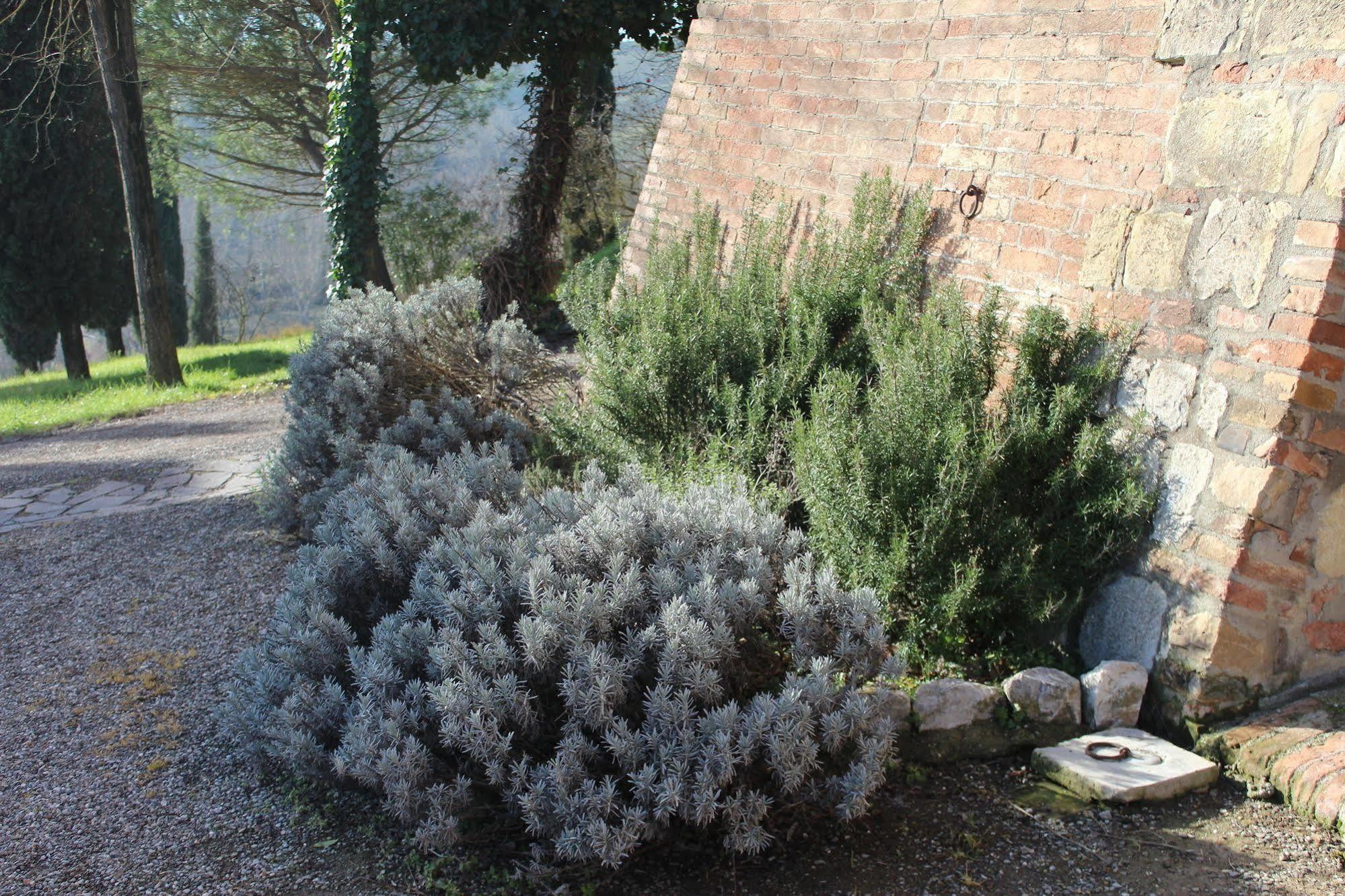 Agriturismo Castello Saltemnano Buonconvento Esterno foto
